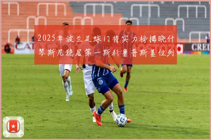 2025年波兰足球门将实力榜揭晓什琴斯尼稳居第一斯科鲁普斯基位列第三