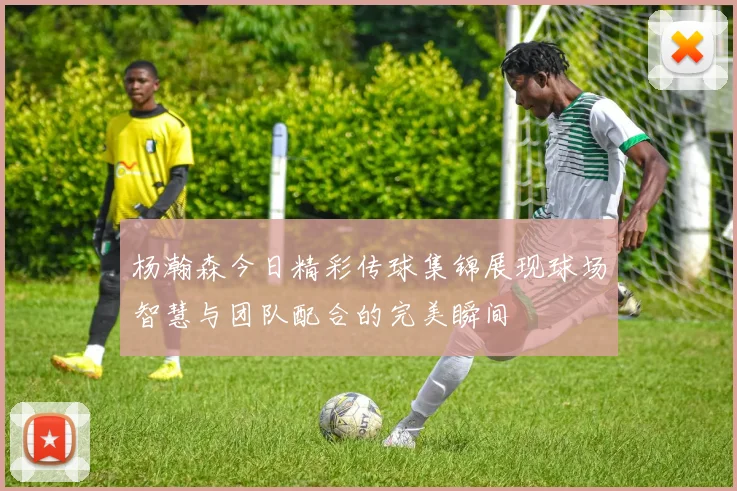 杨瀚森今日精彩传球集锦展现球场智慧与团队配合的完美瞬间
