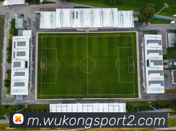 多媒体互动体验